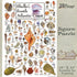 550 18" 24" Heritage Puzzle - Shells of The South Atlantic Coast by John & Jackie Leatherbury Douglass Piece Puzzles