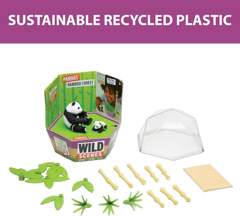 Wild Scenes Pandas' Bamboo Forest - Grow & Play Kit, Environmentally Friendly Wildlife Conservation Toy for Kids.