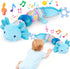 FVNPIHAM Baby Toys 6-12 Months, Musical Caterpillar Tummy Time Toys with Crinkle, Rattle,