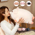 Mommy 19.6 3 Plush,4 Achwishap Pig Stuffed Animal with Pig Babies PCS Cute Pig Plushie Pillow,Kawaii Plush Toys Soft