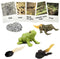 Mbrain5pcs Frog Growth Cycle with Flash Cards, Life Cycle Learning Montessori Toys for 3-7 Year Olds
