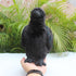 Realistic Crow Plush, Cute Black Raven Stuffed Animal, 9.44'' Soft Little Bird Toys for Kids Gifts