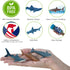 15pcs Mini Sea Animals Toys for Kids Toddlers Ocean Animal Toy Figurine Realistic Sealife with Shark Whale & Dolphin