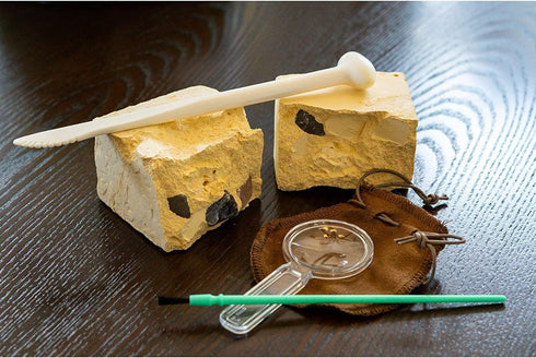 4M Kidzlabs Crystal Mining Kit, DIY Science Kit - Dig for Gem Stones for Ages 5+
