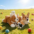 5 16" Mommy 4 Pieces Corgi Dog Stuffed Animal with Babies Puppies Inside Stuffed Corgi Dog Plush Toy with Baby Puppy