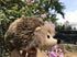 Lifelike Hedgehog Plush Stuffed Animal Toy - Cute Hedgehog Model (15CM)