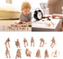 UPINS 30 Pack Dinosaur Fossil Skeletons, 3.7 Inch Assorted Dinosaur Skeleton Toy Figures for Science Play Dino Party