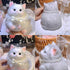 Extra Large Taba Squishy Kit, Cute Taba Squishy Cat for Adult/Kids DIY Dress Up, Stress Relief, Stimulating Creativity