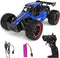 1/16 Scale Remote Control Monster Truck, 20 + km/h Outdoor 2WD Off