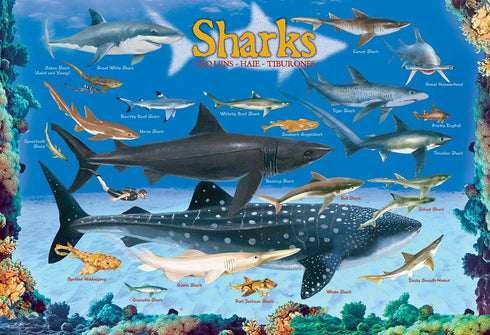 Sharks 100 Piece Jigsaw Puzzle