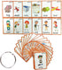 SANTSUN Set of Adjectives&Antonym Flash Cards for Toddlers(47 pc) | Kids Learning Flashcard