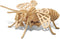 Puzzled 3D Puzzle Honeybee Wood Craft Model Kit - Unique Educational DIY Wooden Insect Toy to Build & Paint, 32pcs