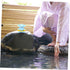 Reliable Floating Bath Thermometer - Ideal for Pool and Nursery Temperature Checks