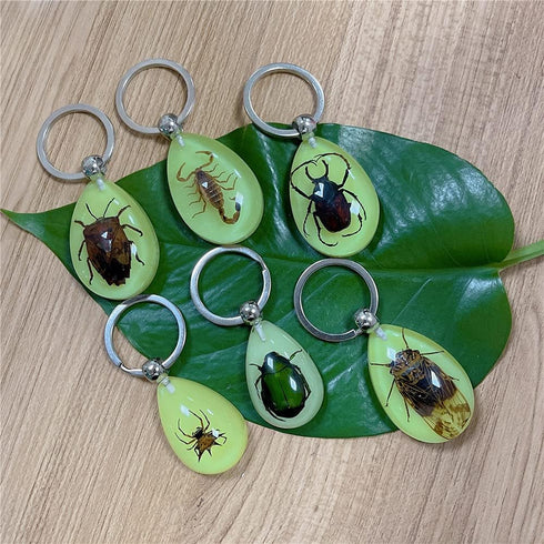 6 Pack Insect in Resin Specimen Collection, Luminous Glow in The Dark Keychain for Education