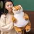 ronivia 17" 3.5 lbs Tiger Weighted Stuffed Animals, Weighted Tiger Plush Large Weighted Plush Animal Toy Pillow Gifts