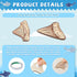 RattanView 20 Pcs Wooden Shark Teeth Nursery Wall Decor Shark Tooth Wall Art Baby Room Nursery Decor Megalodon Beach