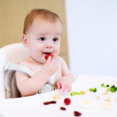 Boon Grub Extra Tall High Chair Tray - Easy Clean, White