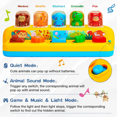 Hieoby 1 9-12-18 1-2 Interactive Pop up Animal Toys with Music & Light, Montessori Cause and Effect Toys for Year Old