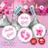 324 Pink Its a Girl Baby Shower Favors Stickers for Baby Shower or Baby Sprinkle Party Decorations, Made in USA