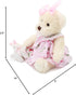 Oitscute Small Baby Teddy Bear, Cute Stuffed Animal Soft Plush Toy 10" (Pink Dress with Rabbit)
