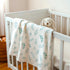 30x40 inches, Baby Blankets for Boys Girls, Soft Nursery Minky Blankets with Muslin and Dotted Fleece Back Receiving