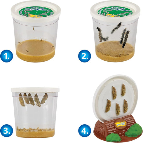 Insect Lore Butterfly Garden, Butterfly Kit with Live Caterpillars, 5 Caterpillars, Reusable Habitat, STEM Journal &