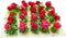 20Pcs Miniature Flower Cluster Grass Flower Tufts - Red Flower Tufts for Mini Dollhouse, Fairy Garden, Railway Scenery