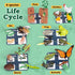 Life Cycle Learning Toys for Kids - Life Science Education Kits with 25 Pieces Animal Figurines: Butterfly, Frog,