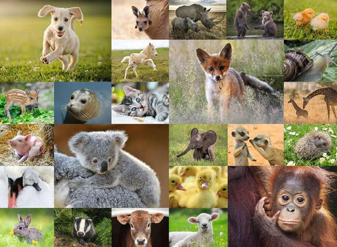 Ravensburger Children's Puzzle - 13353 Cute Animal Babies - 200 Pieces Puzzle for Children from 8 Years
