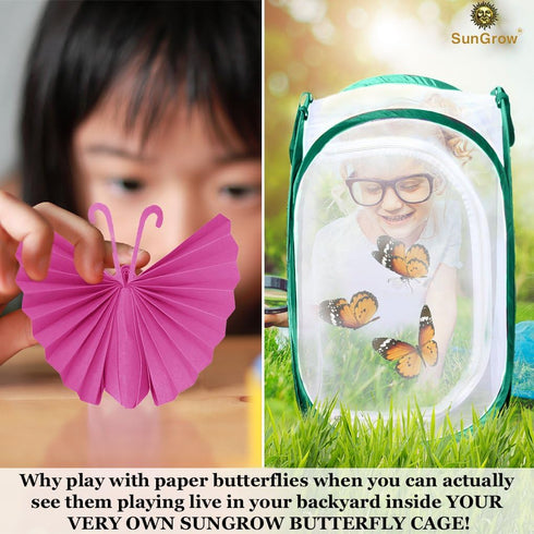 SunGrow Foldable Butterfly Habitat - 24" Cage for Caterpillars, Create Butterfly Farm for Breeding Green