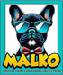 MALKO Hot Wheels Protector Display Case for Premium Card Diecast Cars - 10 Pack, Assembly Required