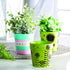 Set 12 3 Inch Fun Express Mini Flower Pots Ceramic of - Unpainted White Plant Pots Ready to Paint | DIY Ceramic