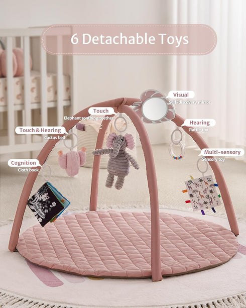 Tummy 6 Blissful Diary Baby Play Gym Mat, Time Activity Mat with Detachable Toys for Skill Development, Baby Essentials
