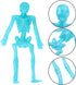Konsait 24 Pack Stretchy Skeletons, Random 10 Glitter Color Sensory Bendable Toys, Party Favors for Kids Halloween