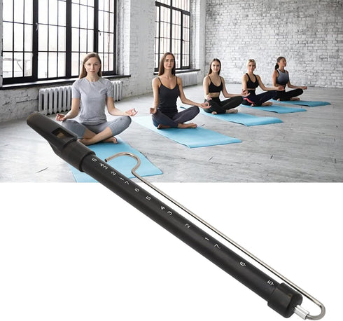 Slide Whistle, Dioche Adjustable Pitch Musical Instrument, for Games Party Favors, Fun and Creative Gift for Music