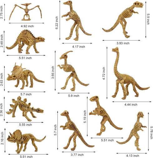 6 Inch Dinosaur Fossil Skeleton for Kids 3-10+, Dino Bones for Science Play, Educational Gift for Kids