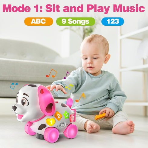 Zardali 6-12 1st 6 7 8 9 10 12-18 1 ABC,123s, Musical Baby Toys Months, Birthday Girl Gifts for One Year Old, Months