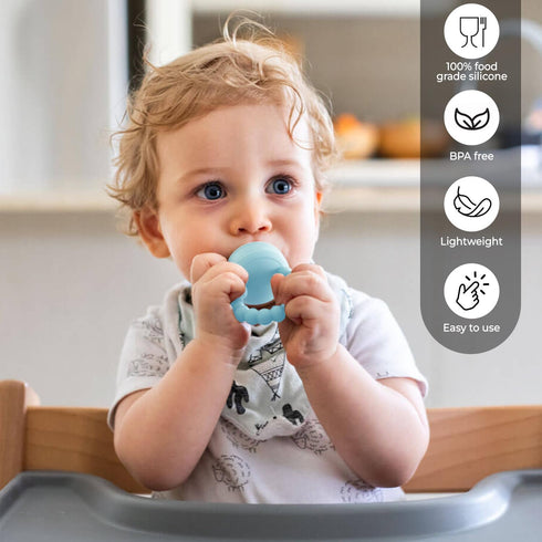 Generic 2 Infant Food Feeder & Silicone Freezer Tray Combo | Size Silicone Baby Fruit Feeders | Weaning Feeder |