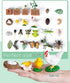 Life Cycle Learning Toys for Kids - Life Science Education Kits with 25 Pieces Animal Figurines: Butterfly, Frog,