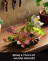 Set (506 NF10334) Nifeliz Lotus Flower Building for Adults, Botanical Decoration for Table or Office, A Nature-Inspired