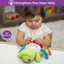 Buckle Toys Belle Turtle Stuffed Animal Montessori Toys for Toddlers 1-3, Travel Essentials for Kids