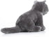 Lifelike British Shorthair Cat Plush Stuffed Animal Toy - British Shorthair Cat Model 32cm