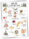 30 Pcs Nature Scavenger Hunt Cards for Camping - Woodland Themed Holiday Party Game Activity.