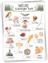 30 Pcs Nature Scavenger Hunt Cards for Camping - Woodland Themed Holiday Party Game Activity.