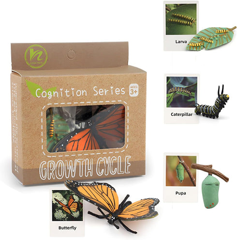 Montessori Life Cycle Learning Kit with Animal Figures and Flash Cards, Realistic Monarch Butterfly Caterpillar Toy