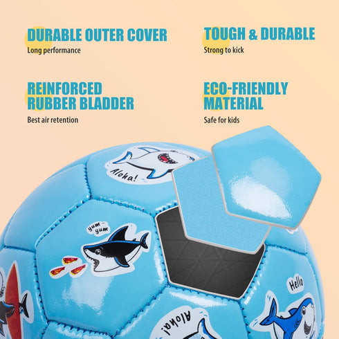 Pack of 2 Size 2 Soccer Balls for Kids, Toddler Balls with Pump, Backyard Lawn Outdoor Toys for Boys and Girls