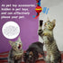 100 Cat(11 22 mm) Skylety Pcs Toy Rattle Box Repair Pet Noise Maker Insert Rattle Inserts for Pet Toys Plastic Ring Box