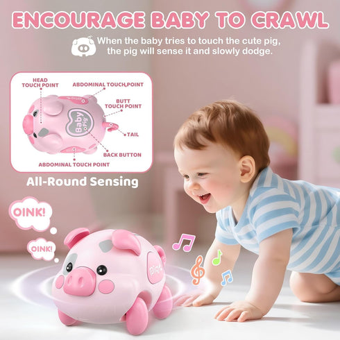 6-12 6 Tummy 7 8 9 10 11 0-1 OCHIDO Baby Toy Months, Musical Piggy Crawling Infant Toys with Light, Month Old Toys