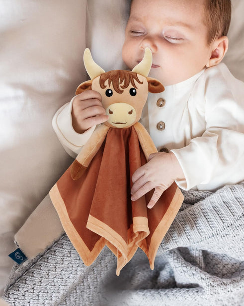 Highland Cow Baby Security Blanket for Boys, Cow Lovey Gift for Newborn Boy Nursery Stuff