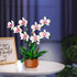 Set, Set 18+ Bilinott Orchid Flower Building Blocks Fake Indoor Flowers Building for Home, Kitchen, Desk Decoration